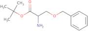 (R)-tert-Butyl 2-amino-3-(benzyloxy)propanoate