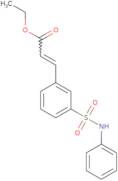 (E)-3-(3-Phenylsulfamoyl-phenyl)-acrylic acid ethyl ester