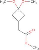 Methyl 2-(3,3-dimethoxycyclobutyl)acetate