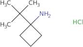 1-tert-Butylcyclobutan-1-amine hydrochloride
