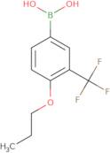 4-Propoxy-3-(trifluoromethyl)phenylboronic acid