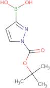 1-tert-Butyloxycarbonyl-pyrrazole-3-boric acid