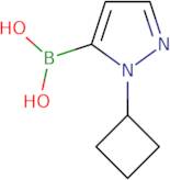 (2-Cyclobutylpyrazol-3-yl)boronic acid