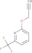 2-(Prop-2-yn-1-yloxy)-6-(trifluoromethyl)pyridine