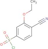 4-Cyano-3-ethoxybenzene-1-sulfonyl chloride