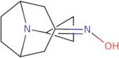 N-{8-Cyclopropyl-8-azabicyclo[3.2.1]octan-3-ylidene}hydroxylamine