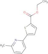 Ethyl 5-(6-methylpyridin-2-yl)thiophene-2-carboxylate