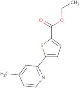 Ethyl 5-(4-methylpyridin-2-yl)thiophene-2-carboxylate