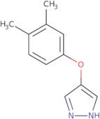 2-(2,5-Dichlorobenzoyl)-5-methylpyridine