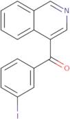 4-(3-Iodobenzoyl)isoquinoline