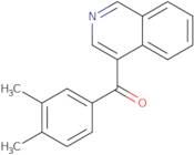 4-(3,4-Dimethylbenzoyl)isoquinoline