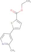 5-(2-Methyl-pyridin-4-yl)-thiophene-2-carboxylic acid ethyl ester