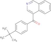 4-(4-tert-Butylbenzoyl)isoquinoline