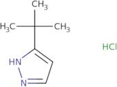 3-t-Butyl-1H-pyrazole hydrochloride