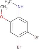 N-Methyl 4,5-dibromo-2-methoxyaniline