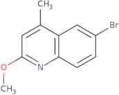 6-Bromo-2-methoxy-4-methylquinoline