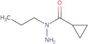 N-Propylcyclopropanecarbohydrazide