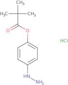 4-Hydrazinylphenyl pivalate hydrochloride