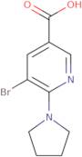 5-Bromo-6-pyrrolidin-1-yl-nicotinic acid