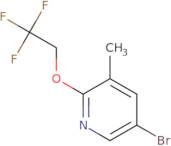 5-Bromo-3-methyl-2-(2,2,2-trifluoroethoxy)pyridine