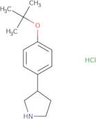 3-(4-tert-Butoxy-phenyl)-pyrrolidine hydrochloride