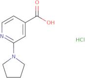2-Pyrrolidin-1-yl-isonicotinic acid hydrochloride