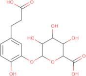 Dihydro caffeic acid 3-o-beta-D-glucuronide