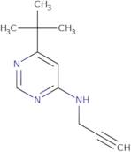 6-tert-Butyl-N-(prop-2-yn-1-yl)pyrimidin-4-amine