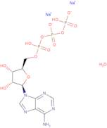 Adenosine 5'-triphosphate disodium salt hydrate