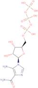 5-Aminoimidazole-4-carboxamide-1-b-D-ribofuranosyl 5'-triphosphate