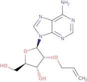 2'-O-Allyladenosine