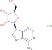 Adenosine HCl