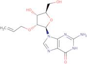 2'-O-Allylguanosine