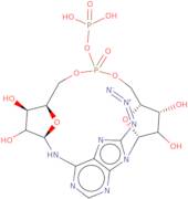 8-Azidocyclic adenosine diphosphate ribose