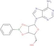 Adenosine 2',3'-O-phenylboronate