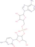 Adenylyl-3'-5'-cytidine