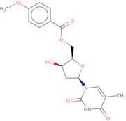 5'-O-p-Anisoylthymidine