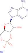 Adenosine 3',5'-cyclic monophosphate sodium salt