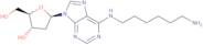 N6-(6-Aminohexyl)-2'-deoxyadenosine