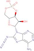 8-Azidoadenosine 3',5'-cyclic monophosphosphate free acid