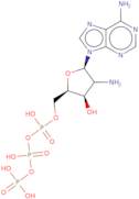 2'-Amino-2'-deoxyadenosine-5'-triphosphate sodium salt - aqueous solution