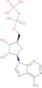 Adenosine 5'-diphosphate