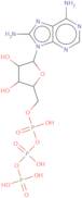 8-Aminoadenosine-5'-triphosphate sodium salt - 10mM aqueous solution