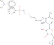 8-Amino[1''-(N''-dansyl)-4''-aminobutyl]-5'-(1-aziridinyl)-5'-deoxy adenosine