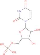 1-b-D-Arabinofuranosyluracil 5'-monophosphate