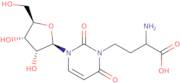 3-(3-Amino-3-carboxypropyl)uridine