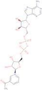 3-Acetylpyridine adenine dinucleotide