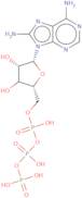 8-Aminoadenosine-5'-triphosphate lithium salt - 100mM aqueous solution