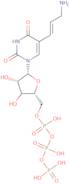 5-Aminoallyluridine 5'-triphosphate sodium salt - 100mM aqueous solution