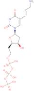 5-Aminoallyl 2'-deoxyuridine 5'-triphosphate lithium salt - 100mM aqueous solution